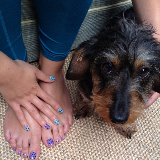 nails by natalie rose london Jessica GELeration Surfer Boyz N Berry and Shellac Lilac Longing with leopard print nail art